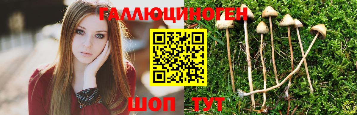 Галлюциногенные грибы ЛСД  Вход с VPN  Электрогорск 