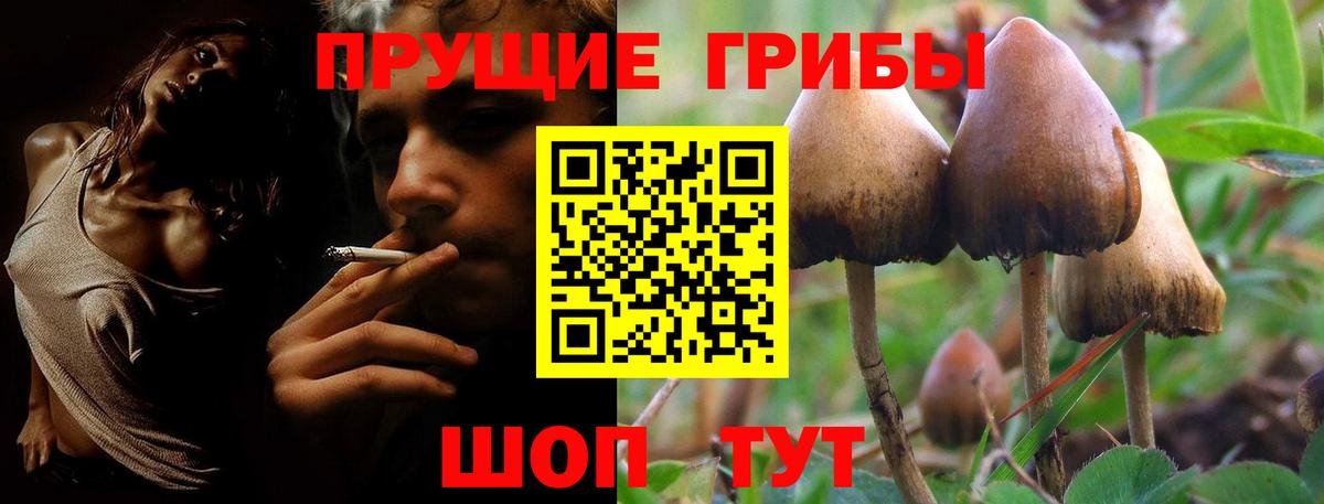 Галлюциногенные грибы MAGIC MUSHROOMS Электрогорск